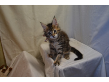 2 ������