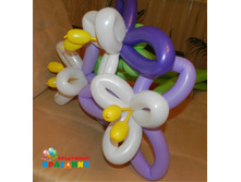 �7 280 ������.jpg