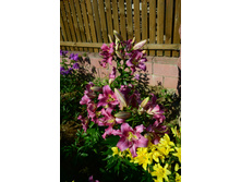 ���� 2015-27 105.JPG