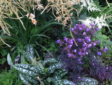 IMG 1373.JPG