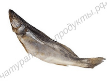 ����� �������.jpg