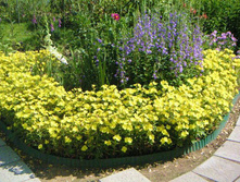 �������.70