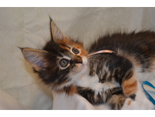 2 ������