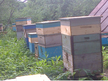 ����� �������