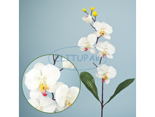 ��000505 ���������� ������ ����� 73 �� (24 ��.� ���.)(Mbox 288 ��) 77.60�.jpeg