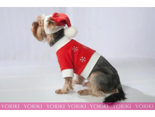 ������� ��� �����. ����	����	408	���.