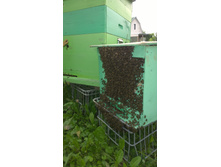 WP 20150710 12 11 38 Pro.jpg