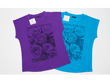 ANAIS 01071 - 430���.; � ANAIS 01071-1 - 430���.jpg