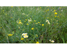 WP 20150701 13 58 59 Pro.jpg