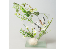 ������������� ���������� 215�.jpg