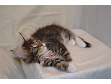 2 ������