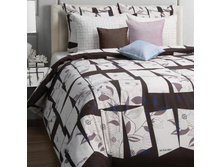 552205/27 ��� 2�� (Celvin) �(2)50*70