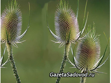 �������� ��������. 80