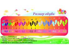 124952489-setka 222.jpg