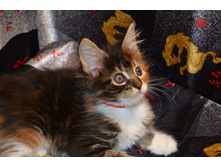 2 ������