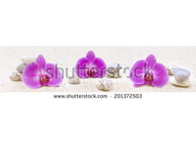 Stock-photo-panorama-with-orchids-and-zen-stones-in-the-sand-201372503.jpg