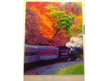 118923057-img 0499-1-.jpg