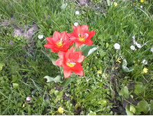 ����-0020.jpg