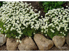 ���������� ������� . 70