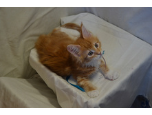 2 ������