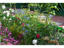 ��������� �������� ���� ��������.