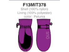 F 13 MIT 378_Petunia