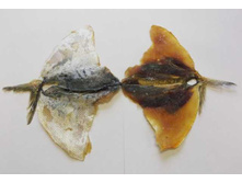 ������������� ���������.jpeg