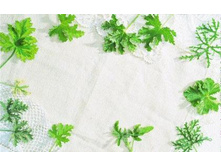 �������� ���������� � ������� ���� � �����-����