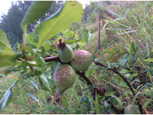 ���� ��������.