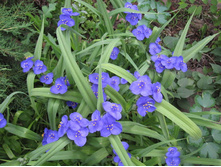 ������������ ���������� 70