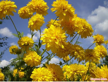 �������� ����������� ������� ���.90