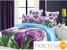 Buenas noches bnn62006 6.jpg