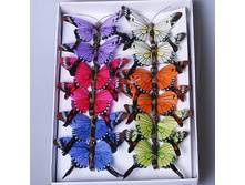 ����� ������� 12 �� 280287 180�.jpg