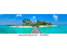 Stock-photo-maldives-island-panorama-76146802.jpg