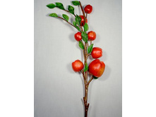 403:7524� ����� ������ h-cm 403:7524� ����� ������ h-cm ------ ������� 403:7524� �������,�� 55 �� ����,���. (��) 424.00.jpg