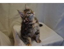 2 ������