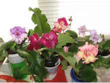 ��������������