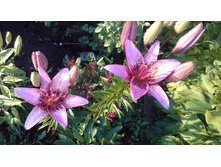 20150627 190247.jpg