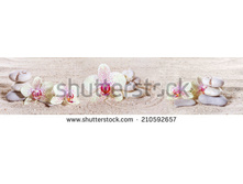 Stock-photo-panorama-with-orchids-and-zen-stones-in-the-sand-210592657.jpg
