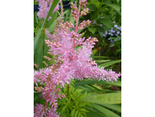 P1040056.JPG �������� �������