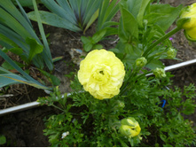 P1040093.JPG ����� ��������