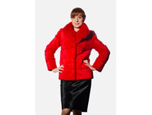 ����, �������.jpg