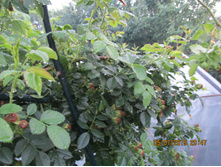 ��������...