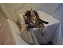 2 ������