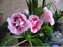 ���������