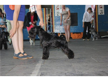 11750715 861727677252674 6805186398280756385 n.jpg