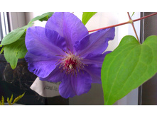 ������ ��������