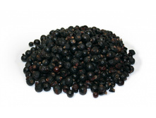 ������� ��������� ���, 100 �