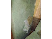 �������� �����