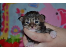 2 ������